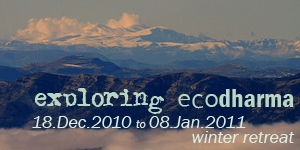 Exploring Ecodharma Winter Retreat